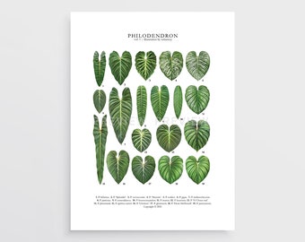 Philodendron Print by Tobancay - Digital Download | Botanical art, interior design, plant wall art