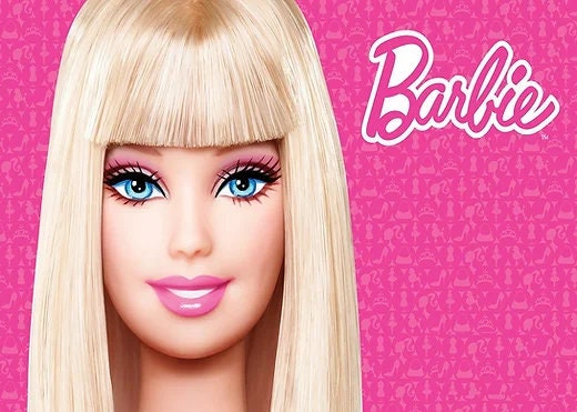Barbie Birthday Theme Party Barbie Party Theme Birthday Party Supplies Tableware Supplies Party Decor Banner Birthday