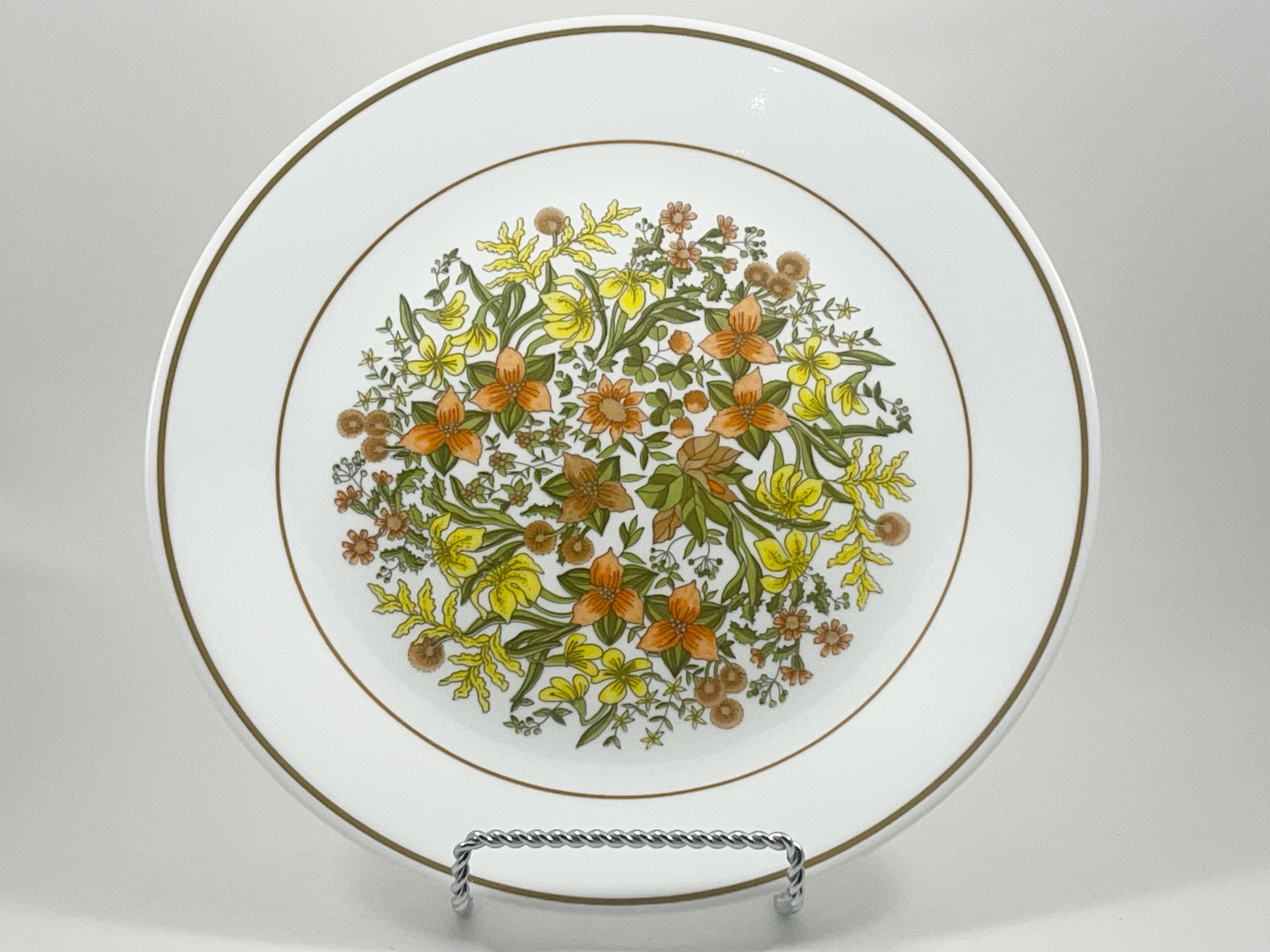 Dinner Plates Indian Summer (Corelle) by CORNING Set of
