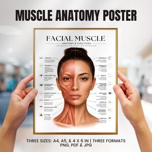 Face & Neck Muscles Anatomy Chart Poster, Dermatologist, Esthetician Clinic Decor, Medical Wall Art, Botox Guide, Filler Guide, Medspa