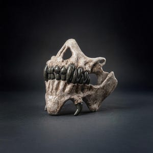 May include: A detailed, off-white skull mask with dark gray teeth and a menacing design. The mask has a textured surface and is set against a dark background, highlighting its intricate details. A unique costume accessory.
