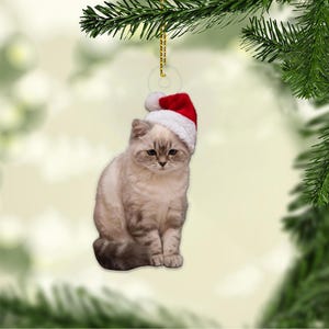 Custom Photo Cat Ornament, Personalized Cat Gift, Pet Photo Keepsake, Holiday Cat Decoration, 2025 Xmas Pet Ornament