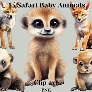 15 Watercolor Safari Baby Animals Watercolor Clipart, PNG, Digital crafting, Paper crafts, Instant download,commercial use,safari clipart