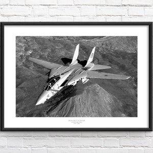 F-14 Tomcat Commemorative Framed Print