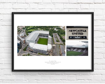 Newcastle United F.C. St. James' Park Commemorative Framed Print