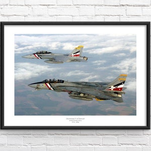 F-14 Tomcat Formation Commemorative Framed Print