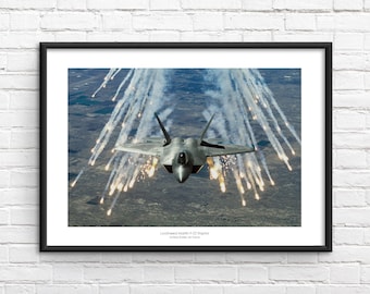 Impresión enmarcada conmemorativa del F22 Raptor