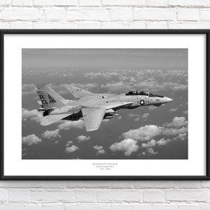 F14 Tomcat gerahmter Gedenkdruck
