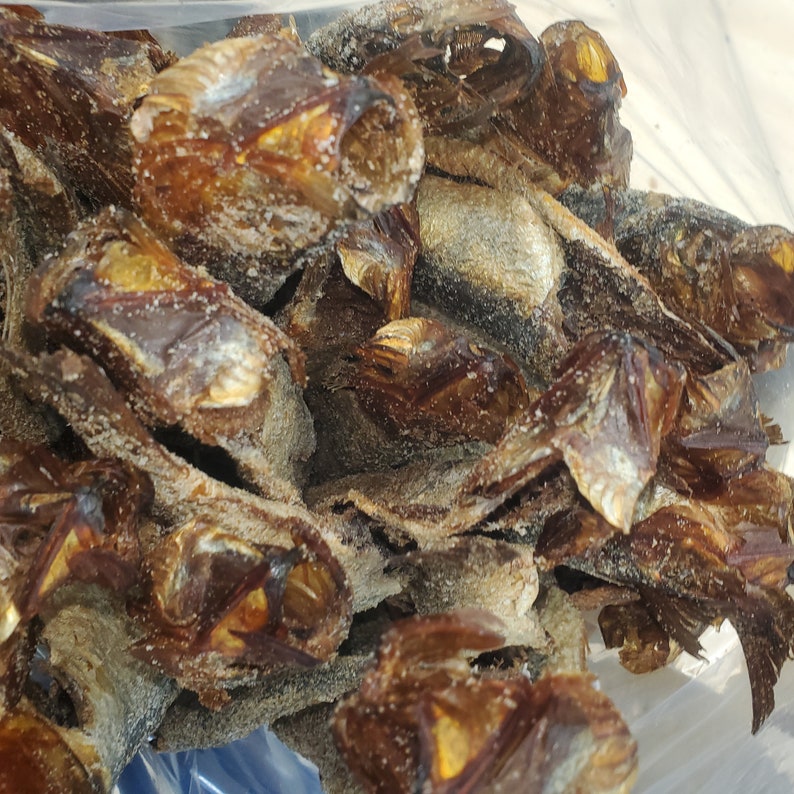 Salted SMOKE HERRING 18lb Etsy