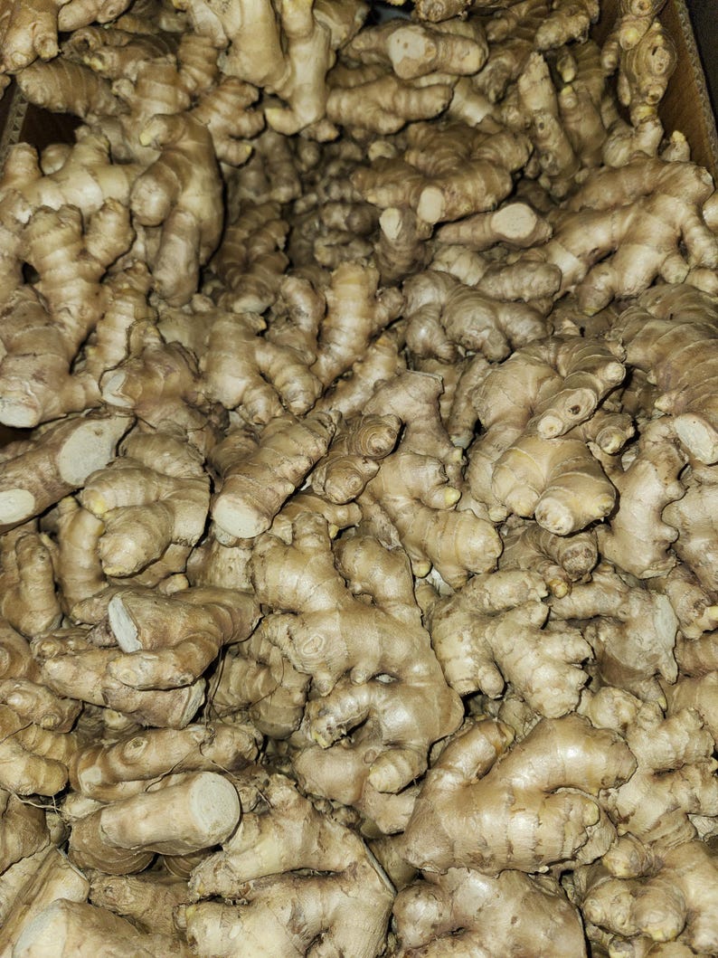 Fresh Ginger Roots - Etsy