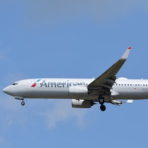 American Airlines Boeing 737-823(WL) [Digital Print]