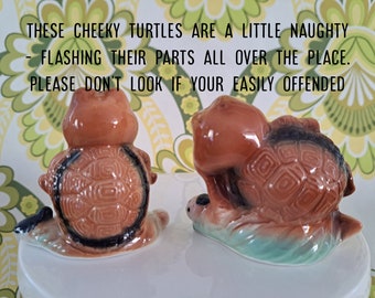 Vintage rude turtle salt & pepper shakers. Retro kitsch turtles. Ceramic naughty shakers. Kitsch kitchenalia.