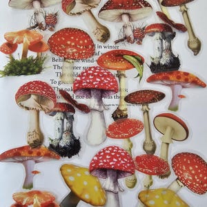 20 autocollants découpés champignon vénéneux, vélin pvc mat. Éphémères illustrés vintage, jardin, forêt, nature, spécimens botaniques.