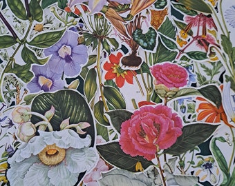 25 recortes vintage de flores botânicas. Ilustrações florais retrô recortadas à mão, perfeitas para colagens, scrapbooking, junk journaling e projetos escolares.