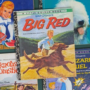 May include: A vintage children's book, "Big Red" by Walt Disney, featuring a boy and a brown dog on the cover. Other books, including "The Shaggy Dog" and "Knobs and Broomsticks", are partially visible in the background.