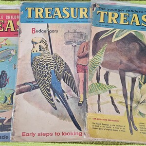 Peut inclure: Trois magazines vintage Treasure avec des couvertures illustrées. La couverture de gauche montre des poissons dans un aquarium, celle du centre représente une perruche bleue et jaune, et celle de droite montre une antilope brune.