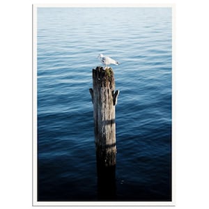By the Sea - Photography, Design, Abstract, Seagul, Street, Art, Minimal, Poster, Print, Style, Nature, Wallart