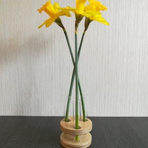 Reagenzglas Vasenhalter aus Holz, Blumenvase - "Blumenkarussell"