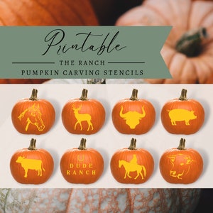 Pumpkin Carving Patterns, Pumpkin Carving Stencil, Jack-o-Lantern Stencil, Printable Pumpkin Carving Template, Pumpkin Carving Template