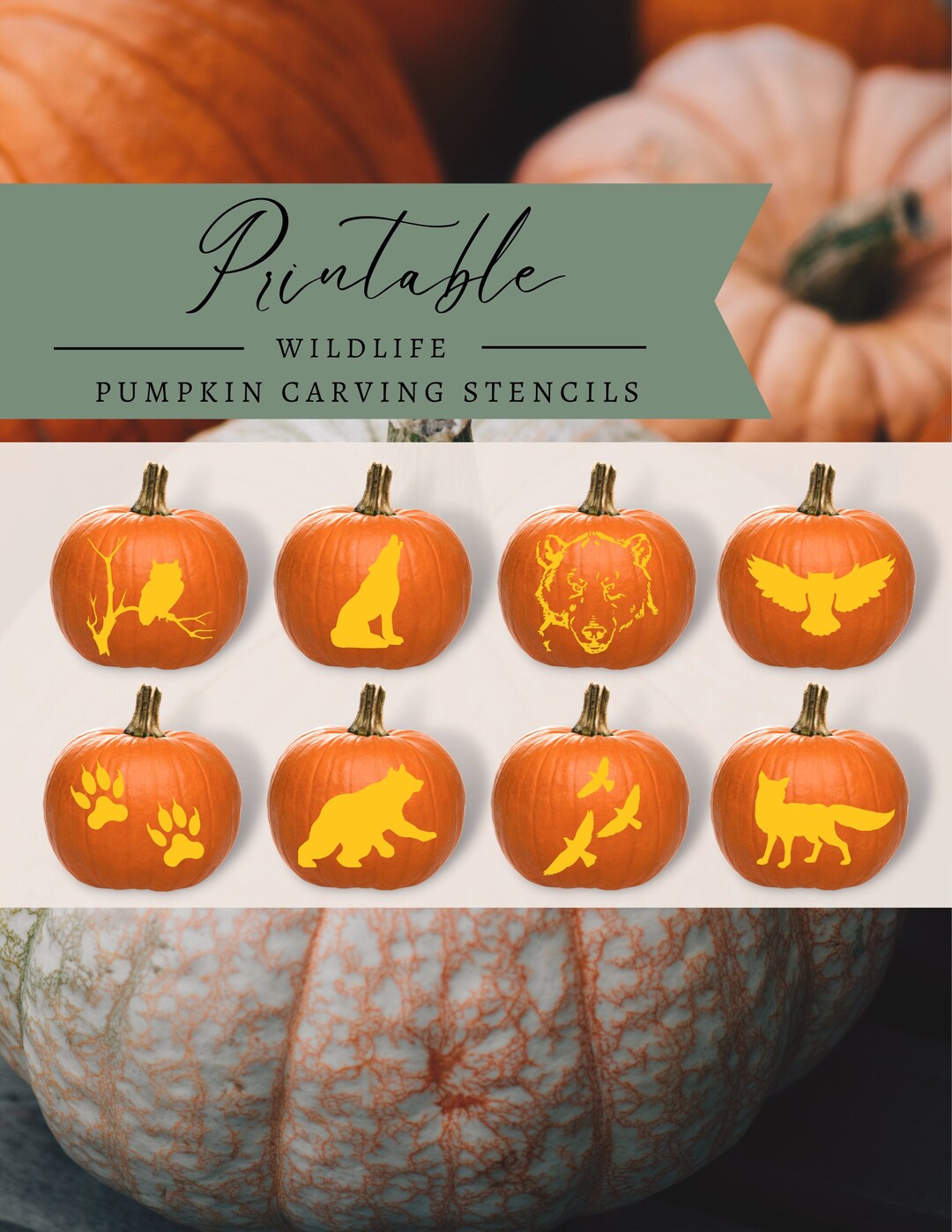 Pumpkin Carving Patterns, Pumpkin Carving Stencil, Jack-o-lantern ...