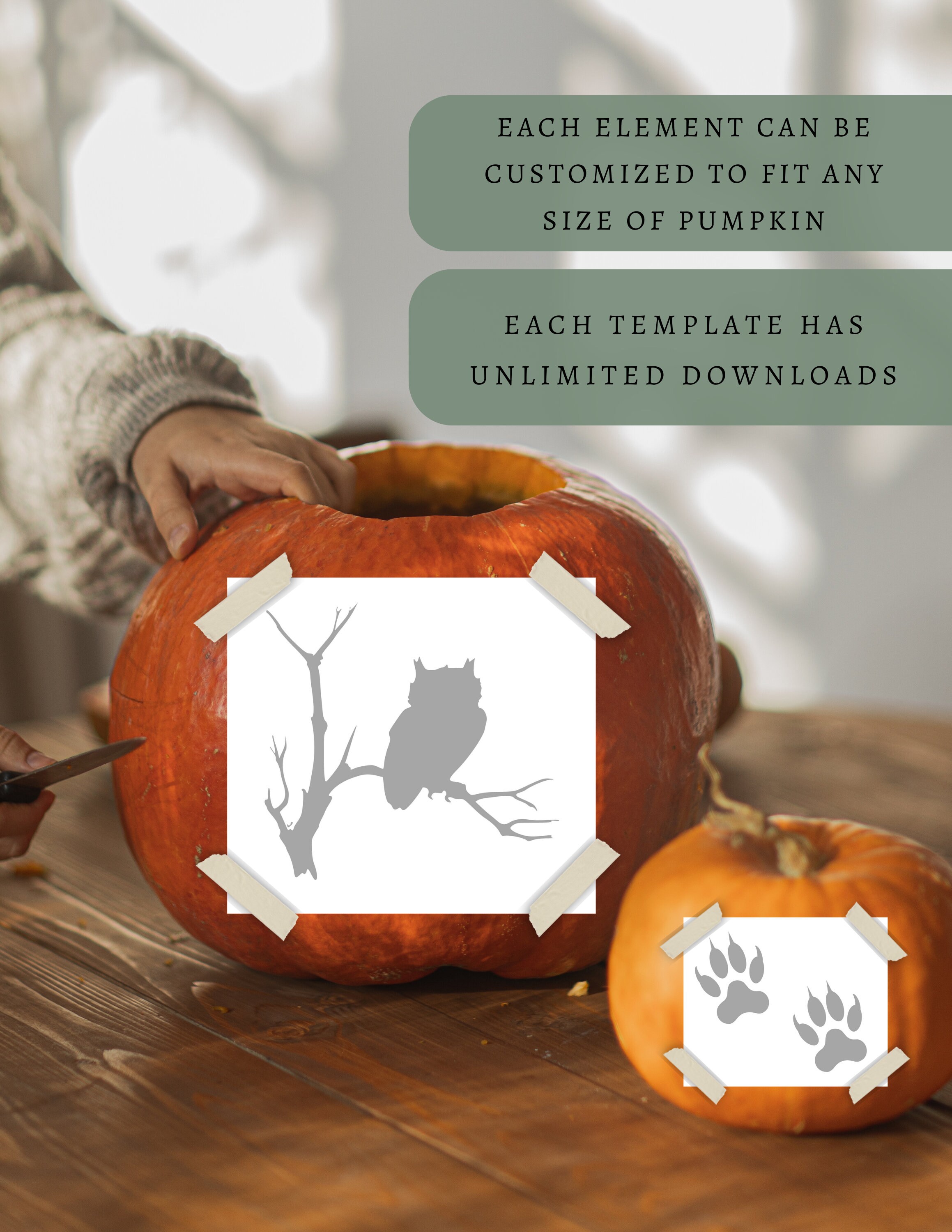 Pumpkin Carving Patterns, Pumpkin Carving Stencil, Jack-o-lantern ...