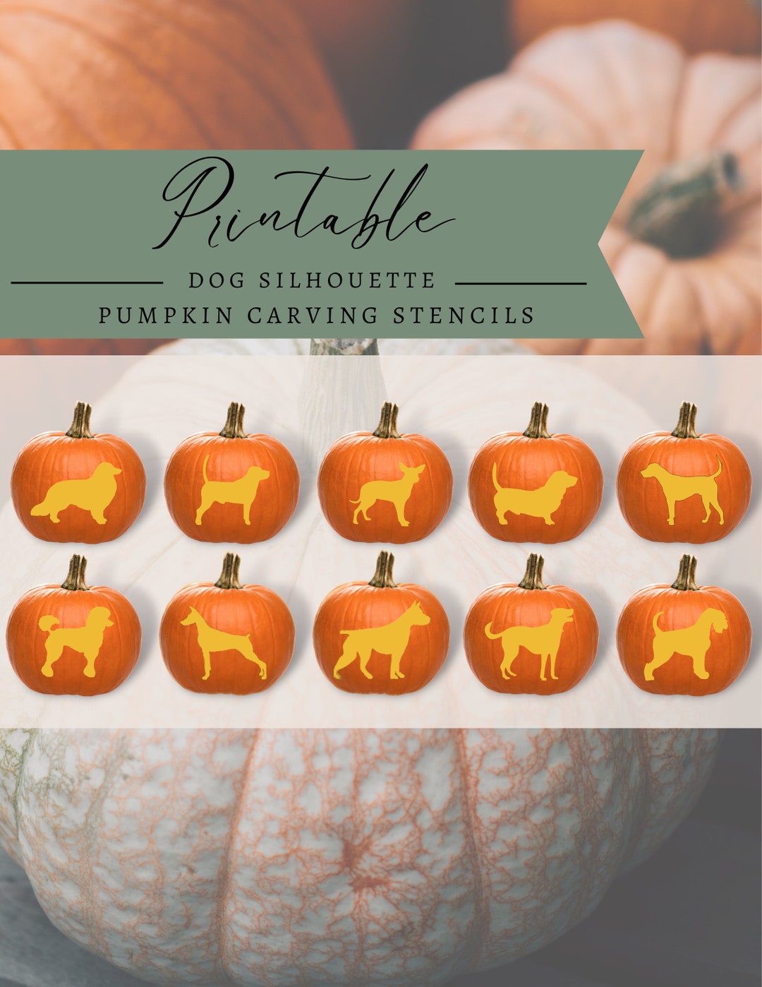 27 Dog Pumpkin Stencils Mom Wife Busy Life 