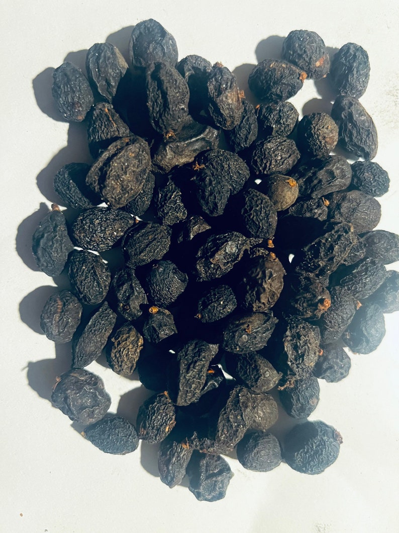 Whole Dried Saw Palmetto Berries serenoa Repens. Etsy