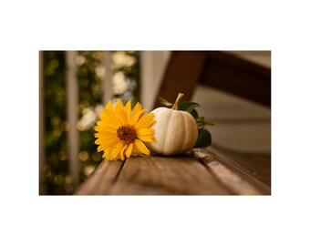 Thanksgiving Background Digital Download, Pumpkin