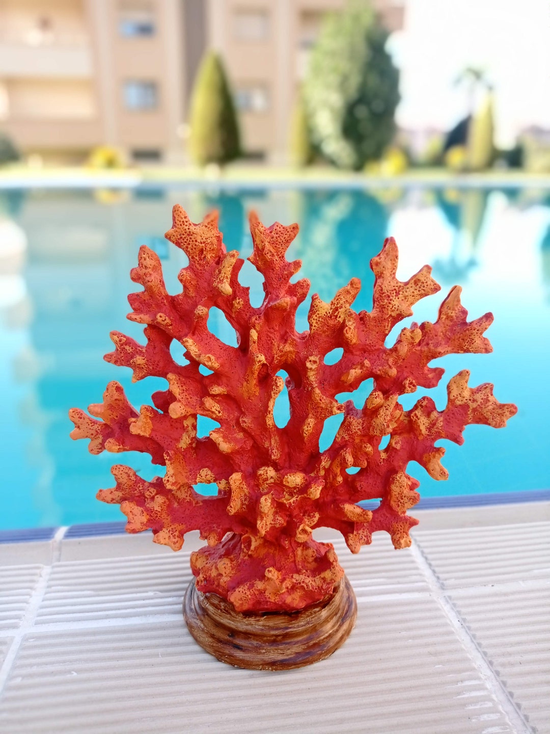 Sea Coral Statue Coral Statue Sea Product Object Coral Etsy
