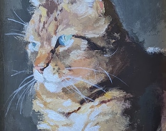 Original Pet Portraits