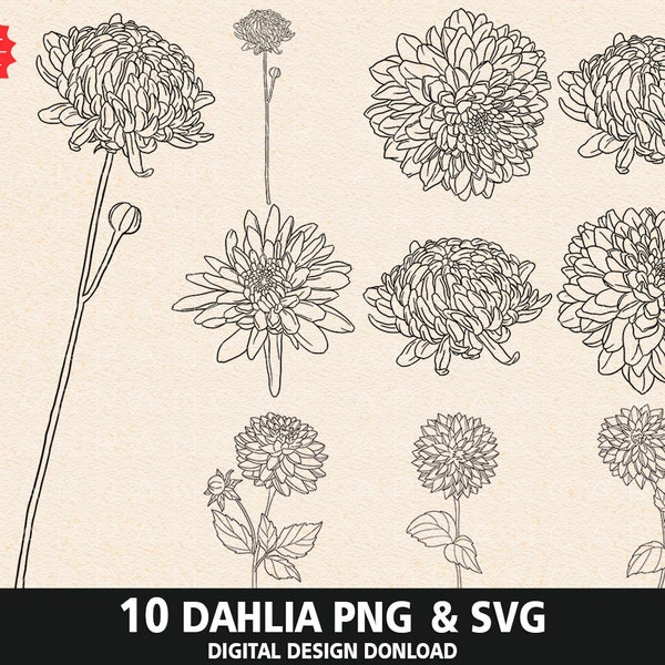 Summer Dahlia Bundle SVG, 10 Dahlia Design png, Summer theme Day, Outline Dahlia png, Boho Dahlia Bundle svg, Detail Dahlia svg, Dahlia png