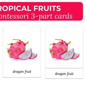 Fruits tropicaux Montessori Cartes en 3 parties, 12 cartes d’images réelles, cartes de nomenclature en trois parties, apprentissage éducatif à la maison et préscolaire