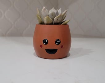 Hand-Painted Cute Face Planter Pot: Small Succulent 3D Printed Pot