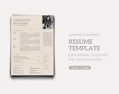 Minimalistic Resume Template, Structured Text Example, Professional Aesthetic Resume Template, CV, Instant Download, Google Docs, Canva