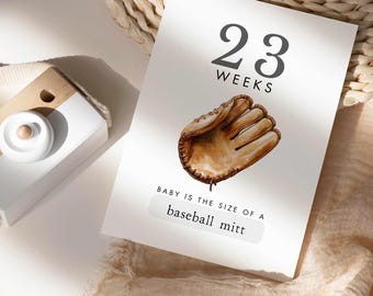 Könnte beinhalten: Eine weiße Karte mit der Zahl 23 und dem Wort "Wochen" in Schwarz gedruckt. Auf der Karte ist ein brauner Baseballhandschuh abgebildet. Der Text "Baby ist so groß wie ein Baseballhandschuh" ist unter dem Handschuh gedruckt.