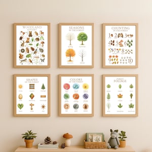 May include: Six framed educational posters with woodland themes. The posters feature the alphabet, seasons, counting, shapes, colors, and forest foliage. Each poster has a light brown frame and is displayed on a light-colored wall.