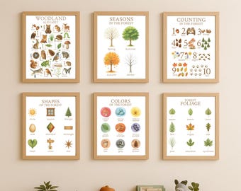 Woodland Early Learning Set of Printables, Gentle Classroom or Forest Homeschool Prints, Alphabet, Counting, Colors, Shapes, Leaves, Seasons