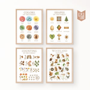 Puede incluir: Cuatro carteles educativos enmarcados con temática de bosque. Los carteles muestran colores, formas, conteo y el alfabeto. Cada cartel tiene un marco de madera clara e ilustraciones de acuarela.