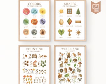 Woodland Early Learning Set of 4 Printables, Gentle Classroom or Forest Homeschool, Alphabet, Counting, Colors, Shapes, Digital Prints