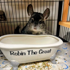 Custom chinchilla bathtub