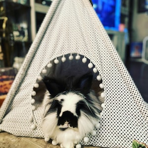 May include: A black and white fluffy rabbit with long fur sits inside a white and black polka dot teepee tent.