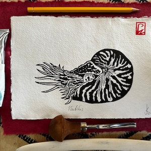 Nautilus handgetekende handgesneden handgedrukte linoreliëfprint