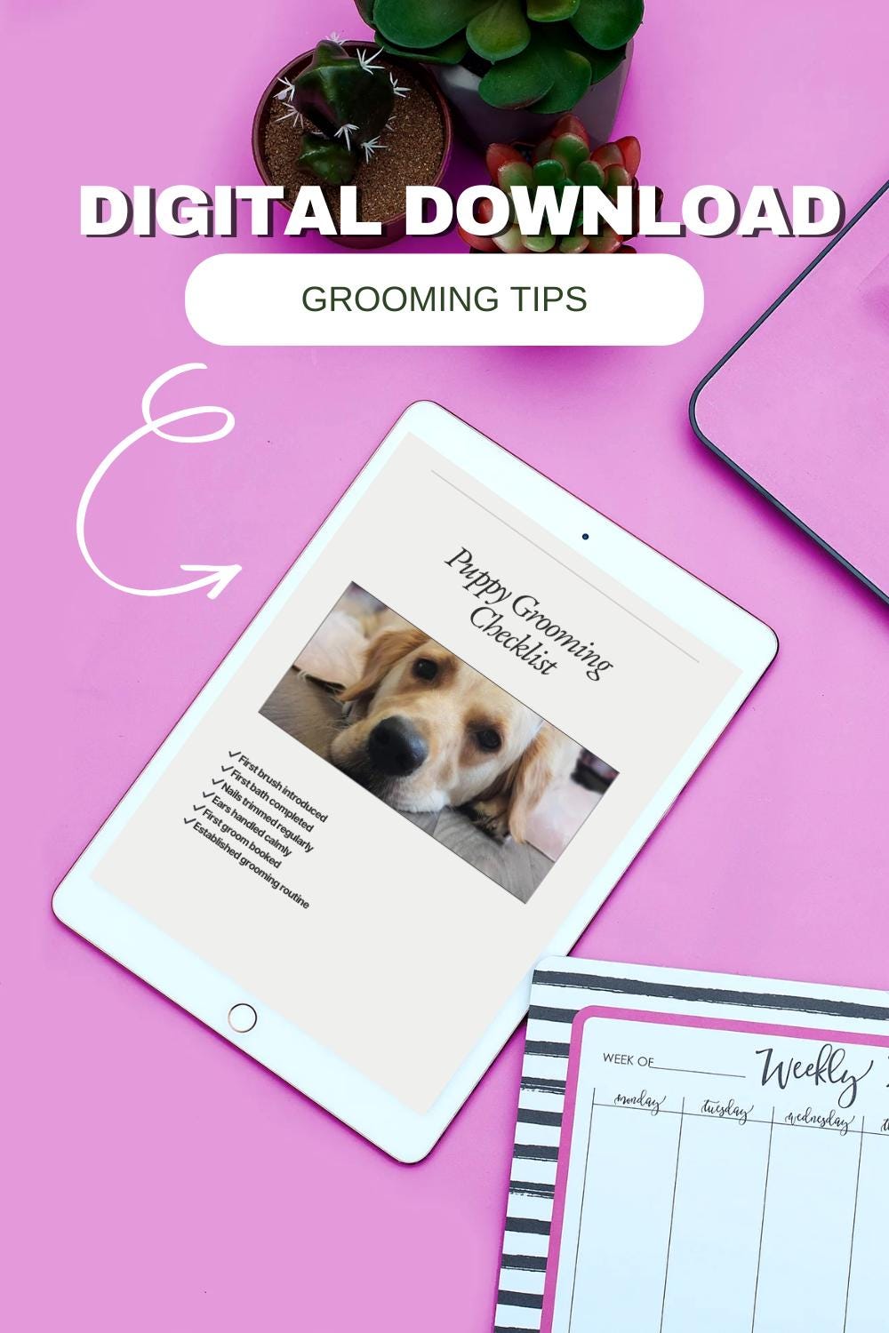 Puppy Grooming Timeline Printable UK | First Year Puppy Groom Guide ...