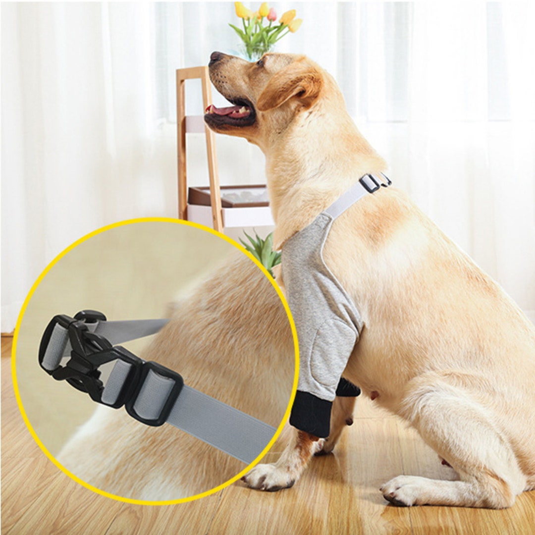 Dog Elbow Guard Bursitis Dog Elbow Pads Arthritic Joints Etsy