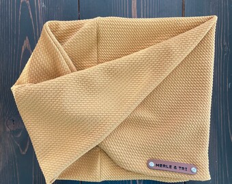Écharpe infinity pour chien « Citron » Écharpe torsadée en tricot estival confortable et collier pour animaux de compagnie