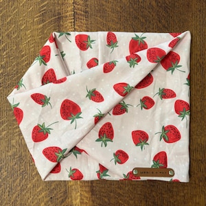 Dog Infinity Scarf (Strawberry Fields) - Bandeau Scarf, cotton, dog neck wear, floral/flowers