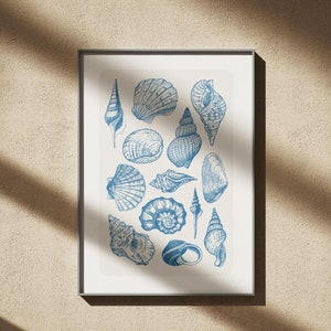 Blue Sea Shells Art Print: Coastal Wall Decor (Digital Download)