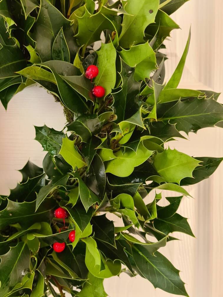 Real Holly Wreath Fresh Holly Wreath Christmas Holly Wreath Etsy