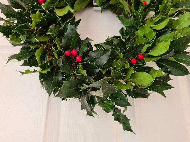 Real Holly Wreath Fresh Holly Wreath Christmas Holly Wreath Etsy