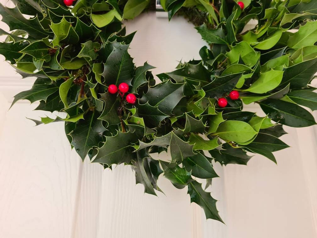 Real Holly Wreath Fresh Holly Wreath Christmas Holly Wreath Etsy